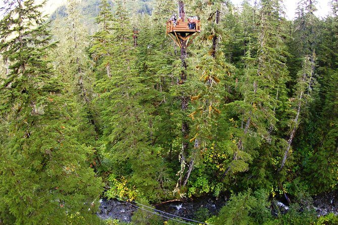 Alpine Zipline Adventure in Juneau, AK - The Scenic Appeal of Douglas Island