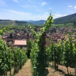 Alsace 4 Wonders Private Full Day Trip - What’s Included and What’s Not