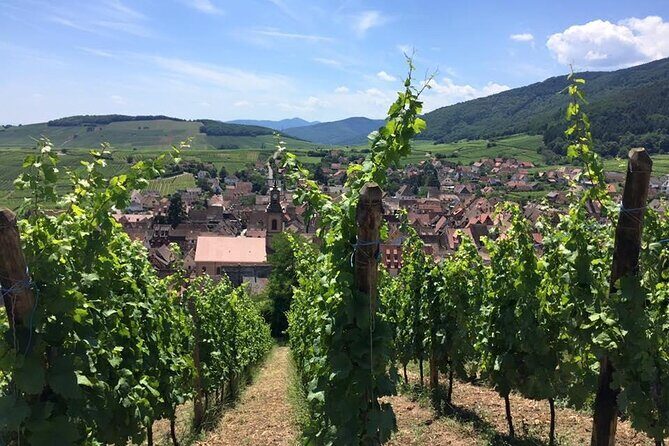 Alsace 4 Wonders Private Full Day Trip - What’s Included and What’s Not