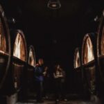 Alsace: Guided Wine Tasting and Cellar Visit - What To Expect from the Tour