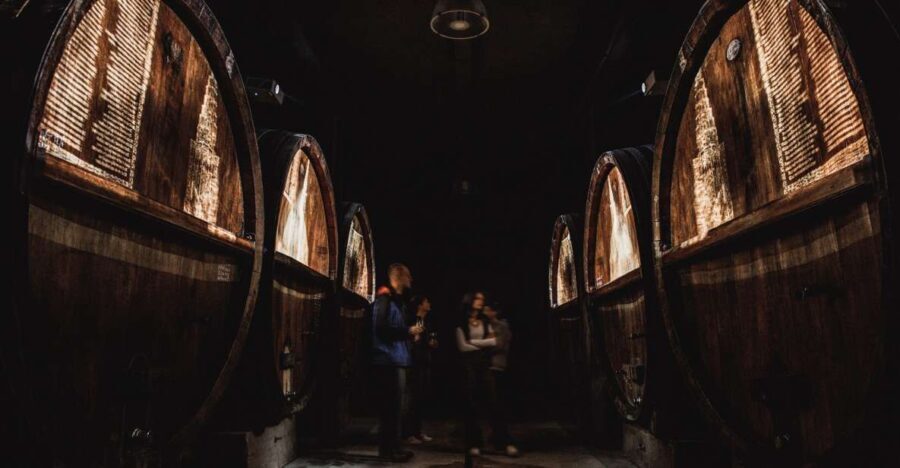 Alsace: Guided Wine Tasting and Cellar Visit - What To Expect from the Tour