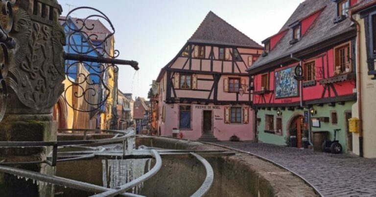 Alsace: Half-Day Wine Tour from Colmar - What’s Included and What’s Not