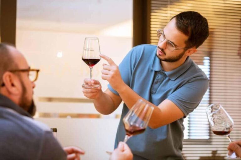 Alsace: Visit and Wine Tasting at Domaine Pierre Adam - Who Should Consider This Tour?