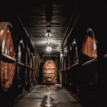 Alsace: Wine Tasting and Gourmet Christmas Lunch - Who Should Consider This Tour?