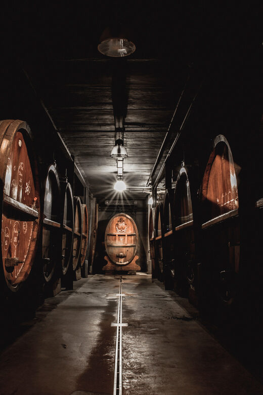 Alsace: Wine Tasting and Gourmet Christmas Lunch - Who Should Consider This Tour?