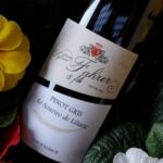 Alsace: Winery Tour and Alsatian Wine Tasting - Final Thoughts