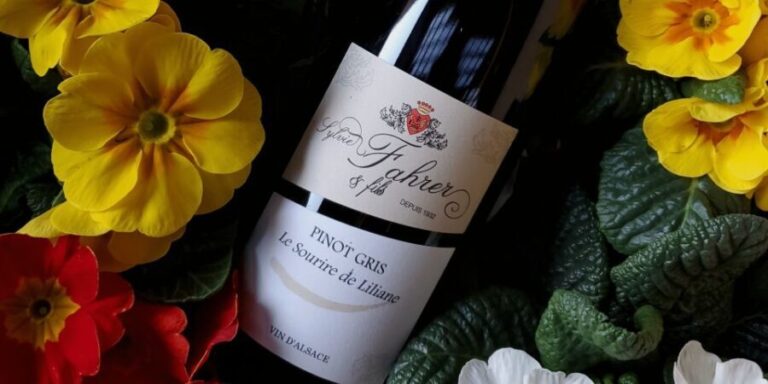 Alsace: Winery Tour and Alsatian Wine Tasting - Final Thoughts