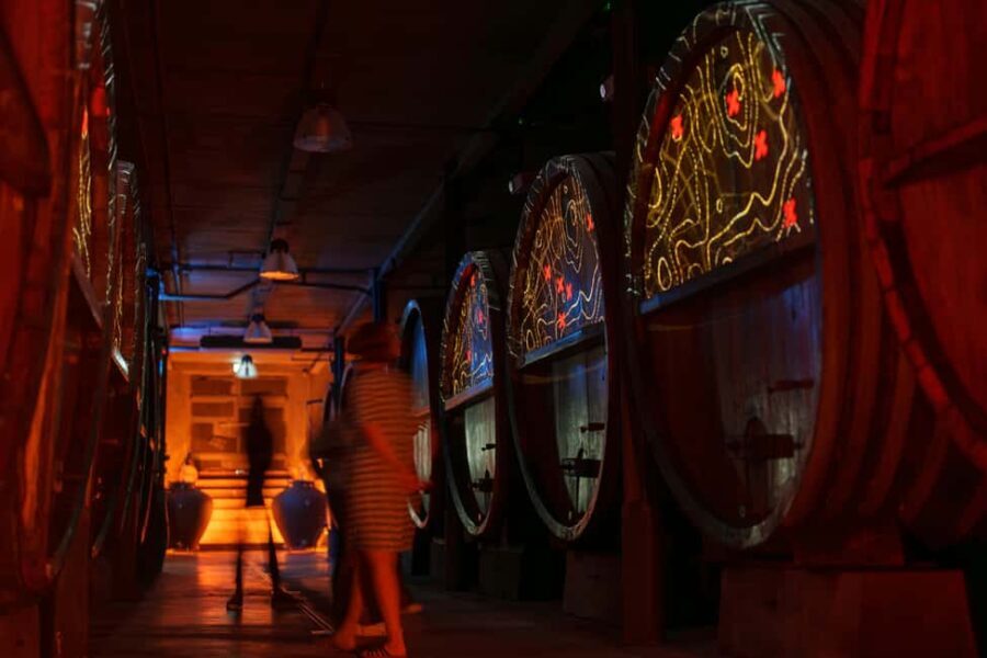 Alsatian brunch with Immersive cellar tour - The Price and Value