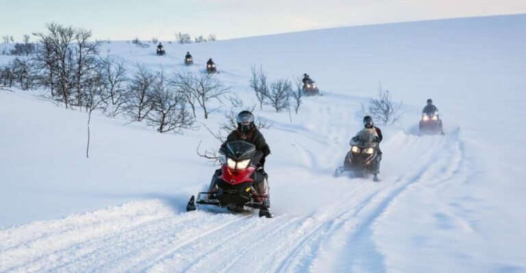 Alta: Guided Snowmobile Safari on Finnmarksvidda With Snacks - The Practical Side: Booking, Pricing, and Logistics