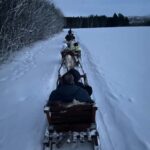 Alta: Reindeer Ride - Who Should Consider This Tour?