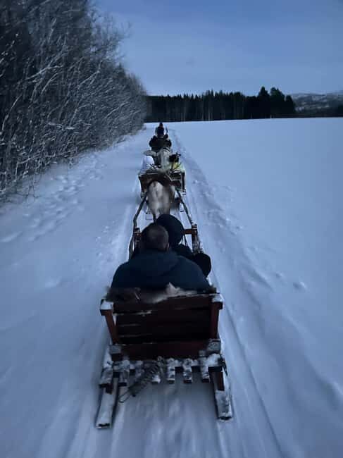 Alta: Reindeer Ride - Who Should Consider This Tour?