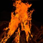 Alta: Sami Cultural experience - Lavvu - Reindeers - Who Should Consider This Tour?