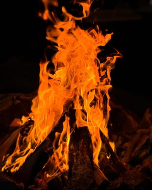 Alta: Sami Cultural experience - Lavvu - Reindeers - Who Should Consider This Tour?