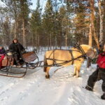 Alta: Sleigh Ride in the Arctic Countryside - What Makes This Tour Stand Out