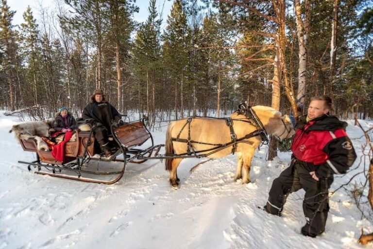 Alta: Sleigh Ride in the Arctic Countryside - What Makes This Tour Stand Out