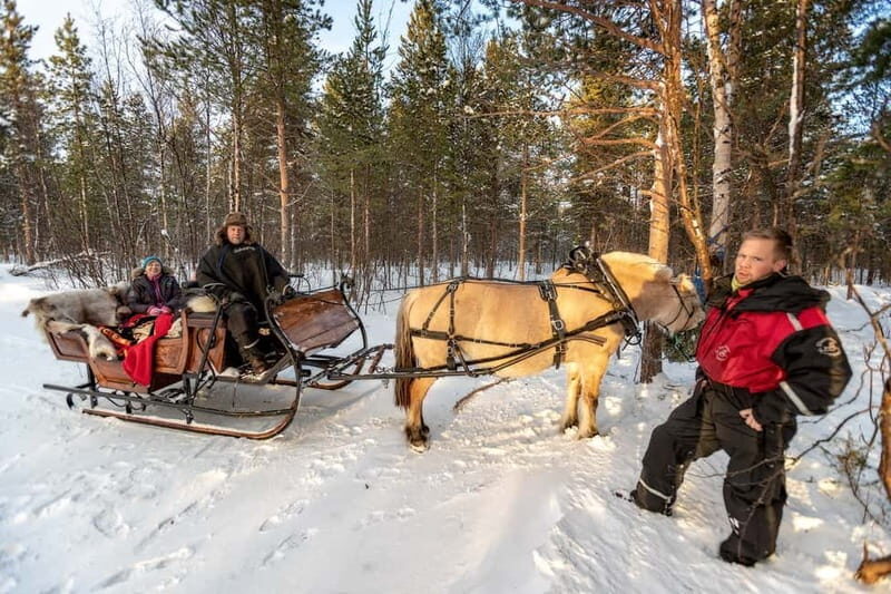 Alta: Sleigh Ride in the Arctic Countryside - What Makes This Tour Stand Out