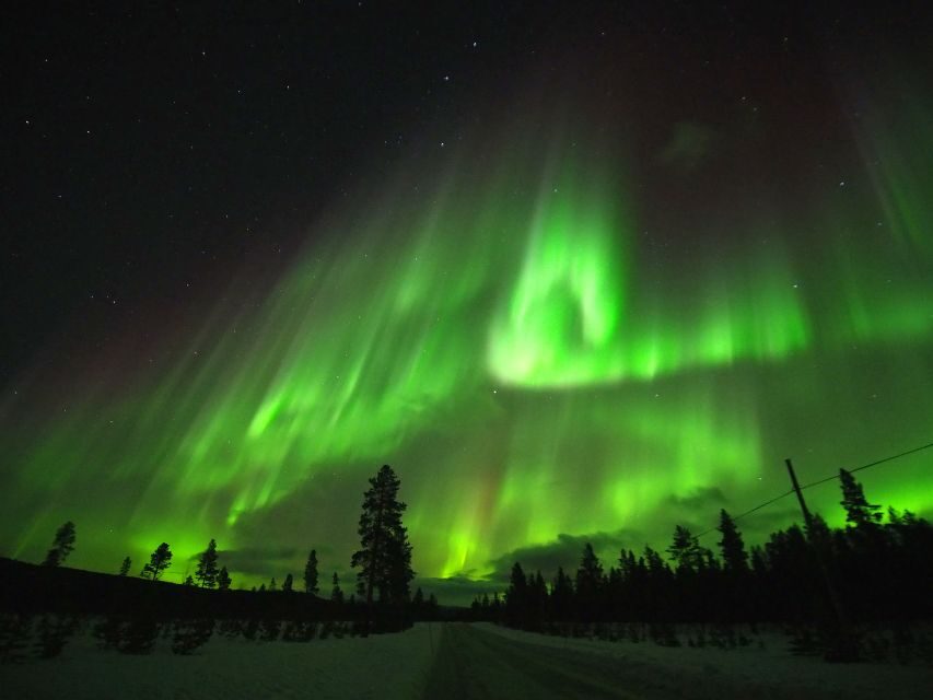 Alta: Small-Group Guided Northern Lights Tour - What To Expect on the Tour