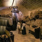 Altamura: Wine Museum Guided Tour with Tasting - The Setting and Atmosphere