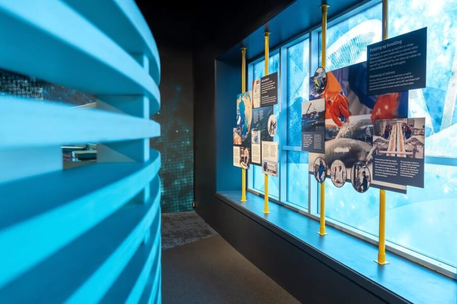 Alta's most iconic sights. Day tour. - What Makes This Tour Stand Out