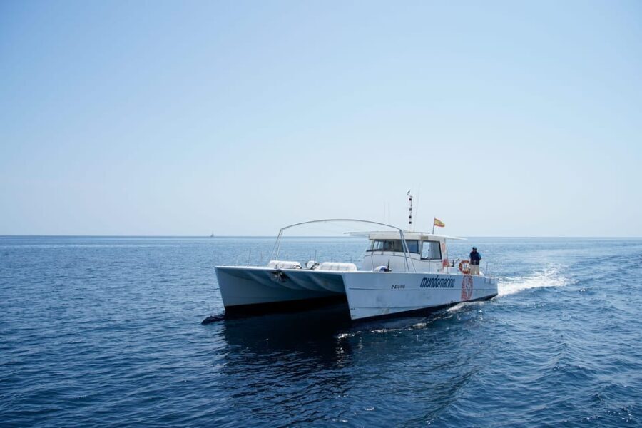 Altea: Motor catamaran with optional lunch and swimming stop - Analyzing the Value