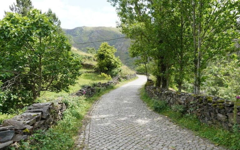 ALVÃO SHEPHERD'S HIKE - What Travelers Say