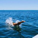 Amalfi Coast by Boat: Snorkeling and Limoncello Tasting - What Travelers Are Saying