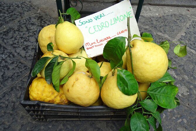 Amalfi: Guided Private Walking Tour of the Gem of the Coast - The Value of the Tour: Is It Worth It?