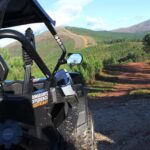 Amarante: Buggy Ride Through Serra do Marão - What to Expect on Your Buggy Ride