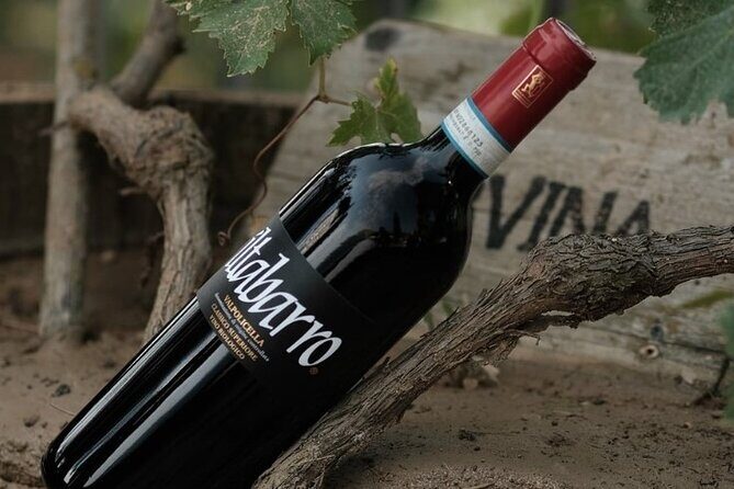 Amarone 2005 Wine Experience - Who Should Consider This Tour?