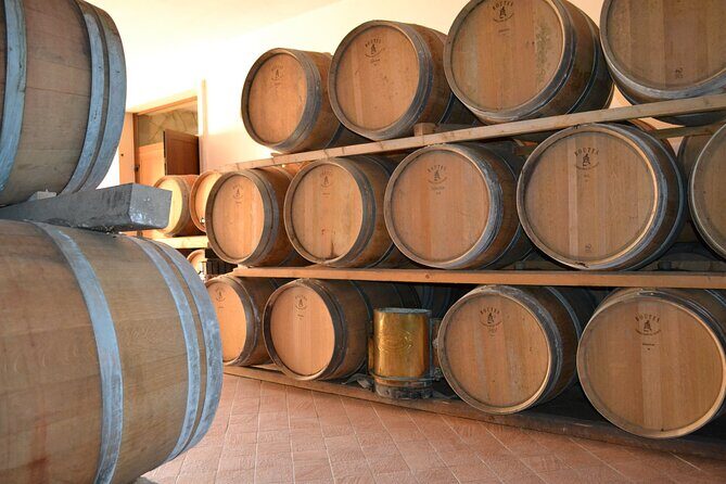 Amarone Della Valpolicella Wine Experience - Meet the Vogadori Family - What to Expect from the Experience