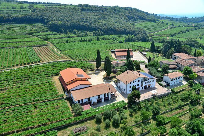 Amarone Wine Tasting from Verona - The Tasting Experience