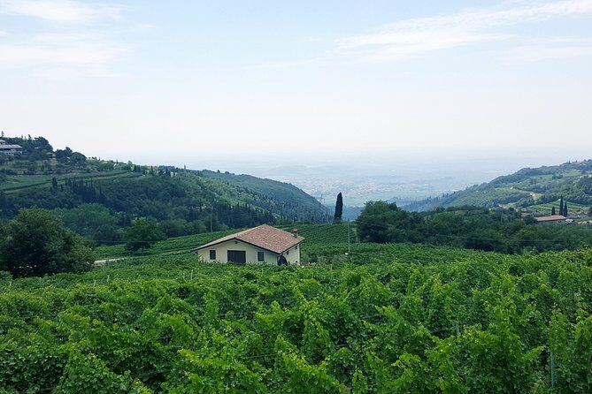 Amarone Wine Tour (all-inclusive full day with lunch and expert wine guide) - Who Should Book This Tour?