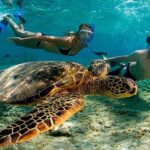 Amazing Adventure in Akumal. Swim with turtles and discover Tulum Ruins. - Value for Money