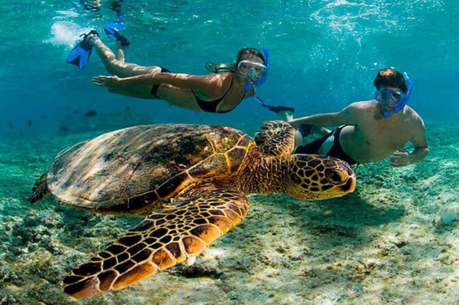 Amazing Adventure in Akumal. Swim with turtles and discover Tulum Ruins. - Value for Money