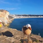 Amazing Private Tour to Fátima, Batalha, Nazaré From Lisbon - Analyzing the Price and Overall Value