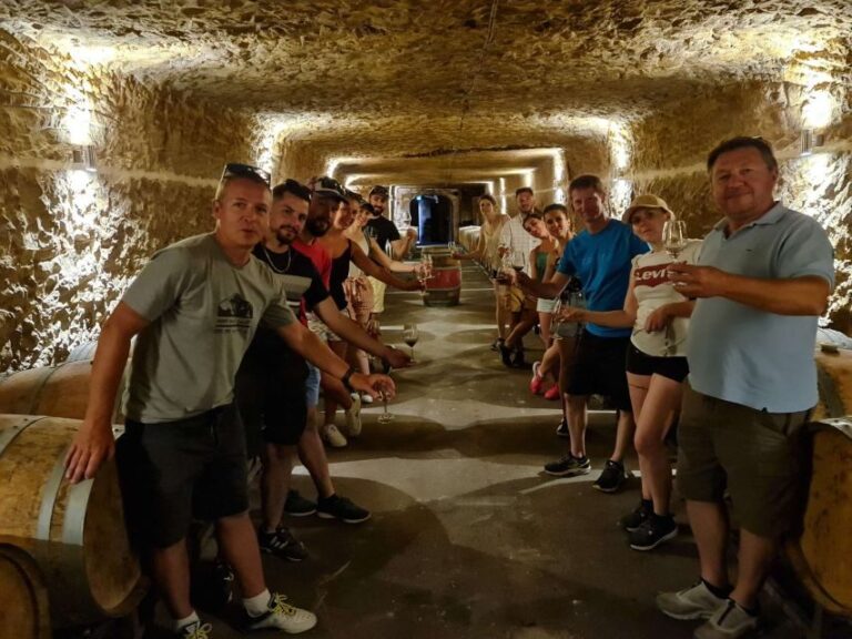 Amboise: Highlights Private E-Bike Tour w/ Clos Lucé Ticket - Visiting the Key Landmarks