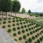 Amboise: Private Guided Tour of the Castle with Entry Ticket - Who Should Consider This Tour?