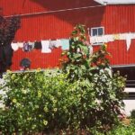 Amish Experience SuperSaver Package - The Theater Experience: Engaging and Thoughtful