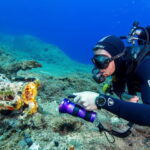 Amorgos Underwater Experience Open Water Diver Course - Diving into the Details