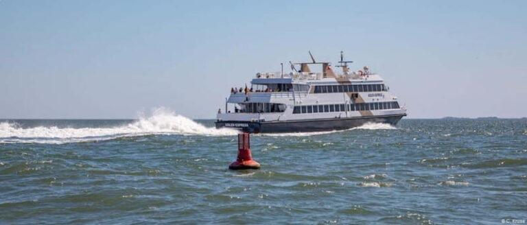 Amrum: Day trip by boat to Hallig Hooge - Making the Most of Your Trip to Hallig Hooge