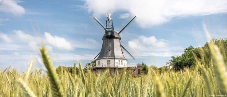 Amrum: Daytrip by boat to Föhr - The Details of the Boat Trip Experience