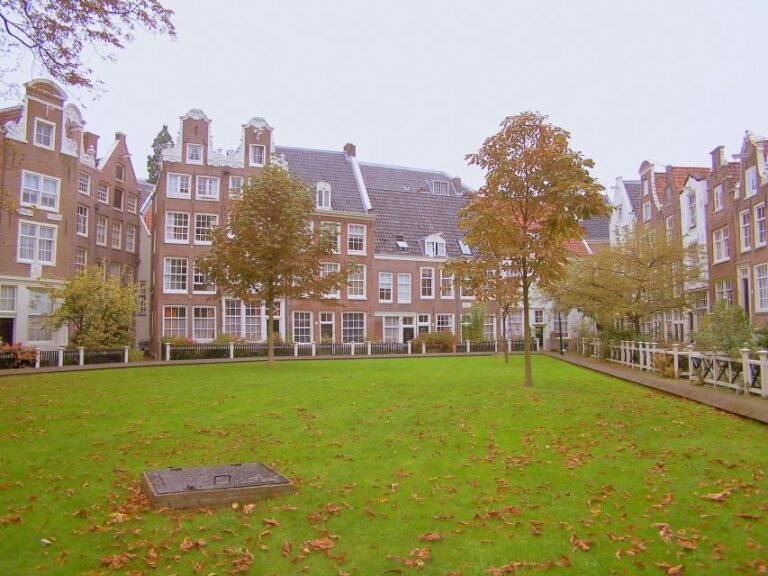 Amsterdam 1-Hour Rickshaw Tour - Why the Guided Aspect Matters