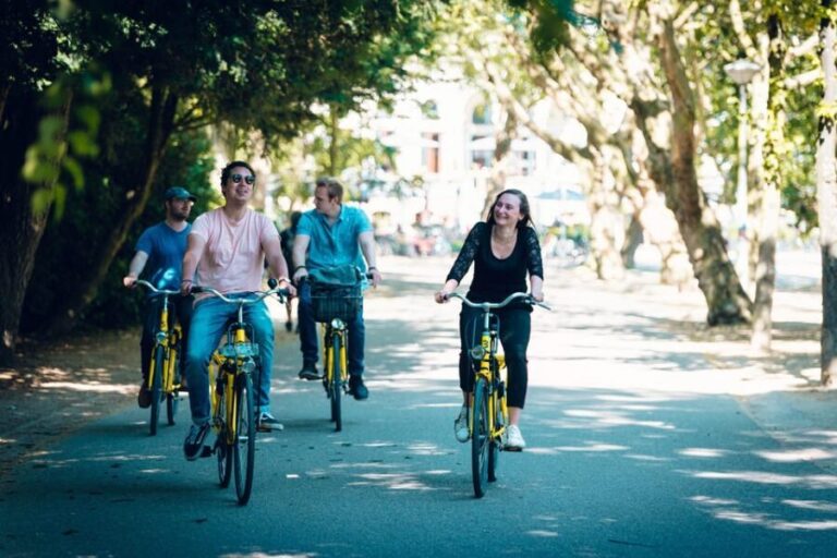 Amsterdam: Bike Rental - What to Expect from the Rental