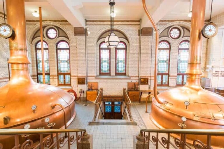 Amsterdam: City Canal Cruise and Heineken Experience Ticket - What Could Be Improved?