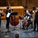 Amsterdam Concert: A. Vivaldi - Four Seasons at Begijnhof - Authentic Reactions and What They Tell Us