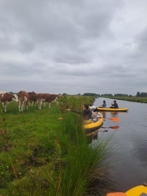 Amsterdam: Countryside Bike and Kayak Guided Tour - What Makes This Tour Stand Out