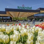 Amsterdam: Day Trip to Keukenhof & Zaanse Schans Windmills - What the Reviews Tell Us