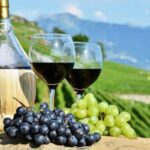 Amsterdam: Dutch Wine Tasting Experience - Real Words from Past Participants