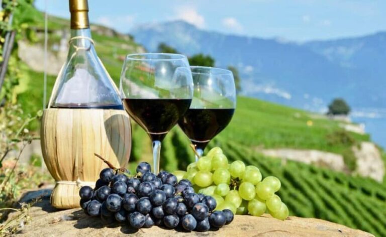 Amsterdam: Dutch Wine Tasting Experience - Real Words from Past Participants