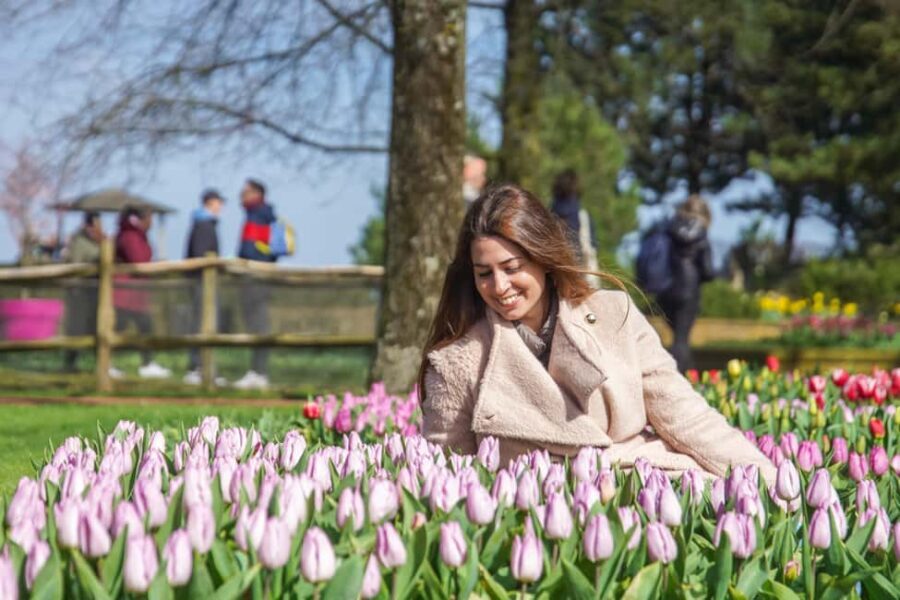 Amsterdam: Flower Parade Grandstand + Keukenhof Gardens Tour - FAQ